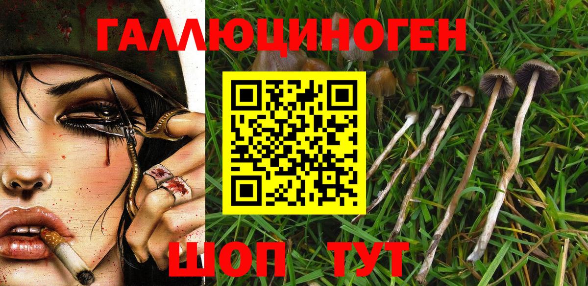 Галлюциногенные грибы ЛСД  Вход с VPN  наркошоп  Симферополь 