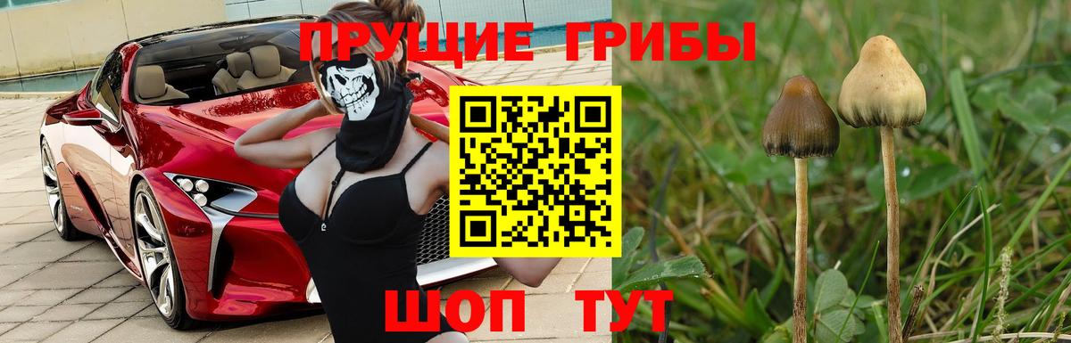 Псилоцибиновые грибы мицелий  Симферополь 